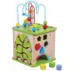 Cub multifunctional-multiactivitati Activity Play Cube 5 in 1 