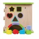 Cub multifunctional-multiactivitati Activity Play Cube 5 in 1 