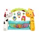 Centru activitati Fisher Price - Saltea bebelusi- Newborn Toddler Play Gym