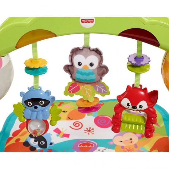 Centru activitati Fisher Price - Saltea bebelusi- Newborn Toddler Play Gym