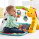 Centru activitati Fisher Price - Saltea bebelusi- Newborn Toddler Play Gym