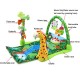 Centru de joaca 3 in 1 Salteluta Rain Forest Zoo - Musical Baby Activity play gym
